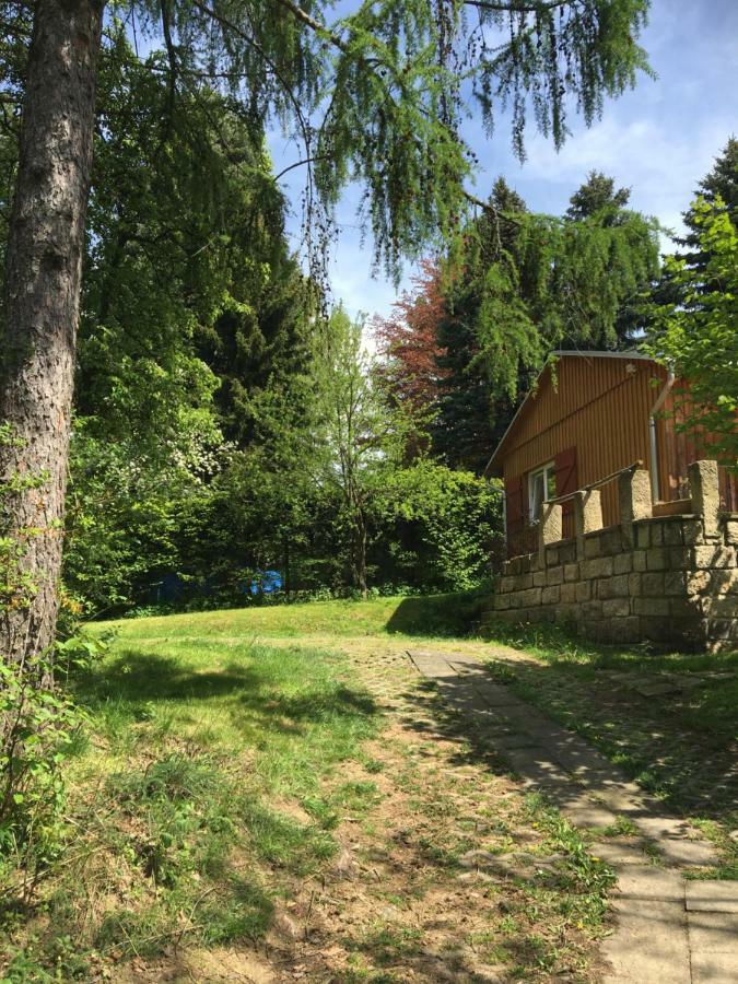 Ferienhaus "Am Bergblick" סבניץ מראה חיצוני תמונה